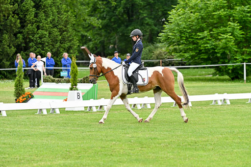  | 30052025 Dressur  (1251) 