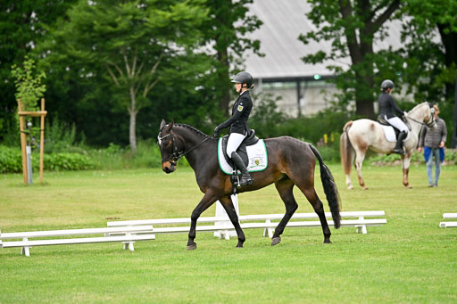  | 30052025 Dressur  (1253) 