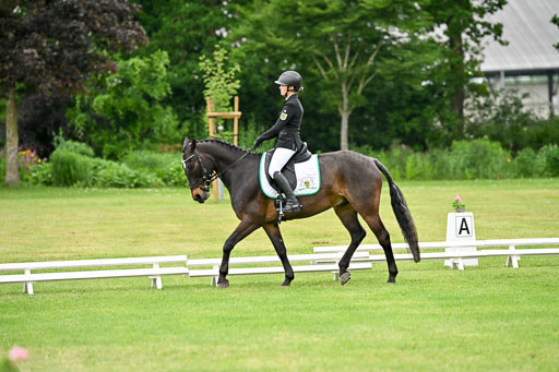  | 30052025 Dressur  (1254) 