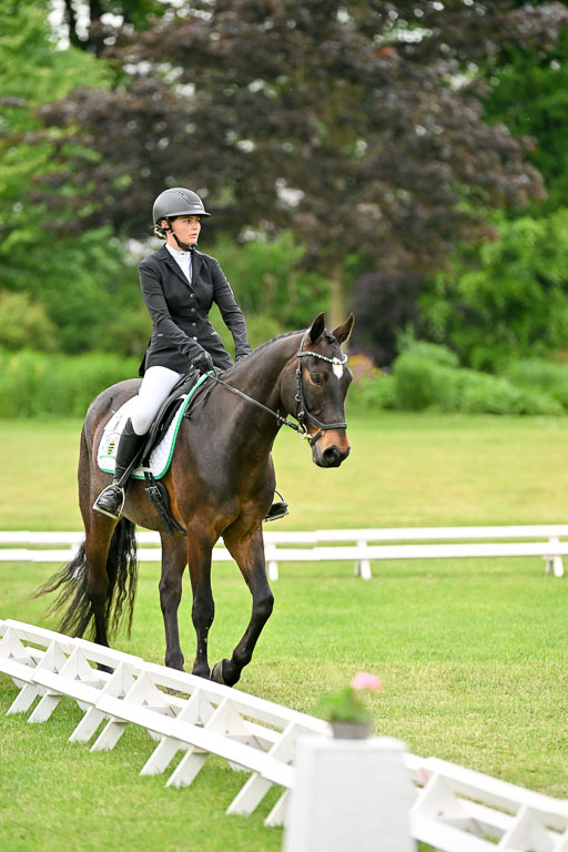  | 30052025 Dressur  (1256) 