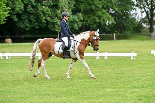  | 30052025 Dressur  (1257) 