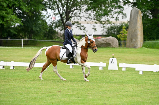  | 30052025 Dressur  (1261) 