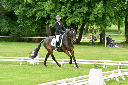  | 30052025 Dressur  (1268) 