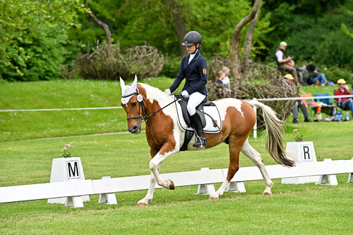  | 30052025 Dressur  (1274) 