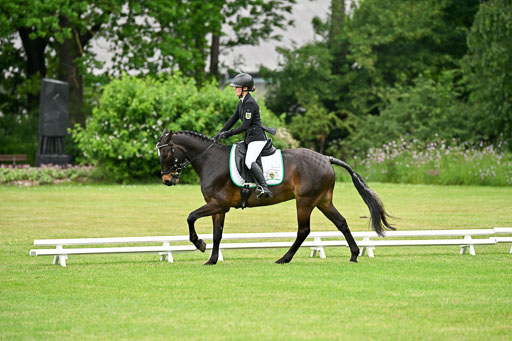  | 30052025 Dressur  (1275) 