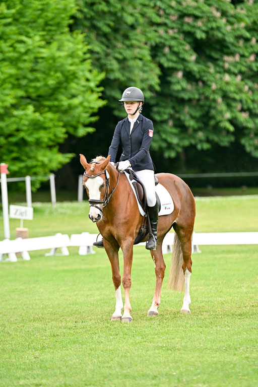  | 30052025 Dressur  (1287) 