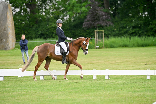  | 30052025 Dressur  (1289) 