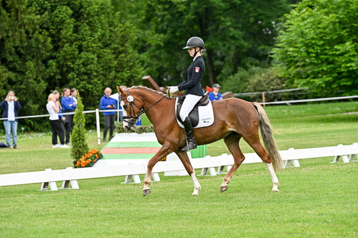  | 30052025 Dressur  (1293) 