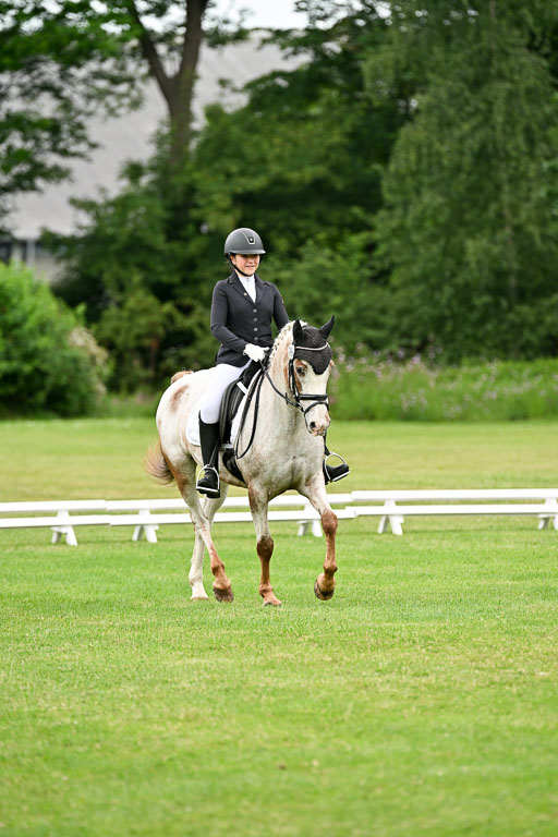  | 30052025 Dressur  (1294) 