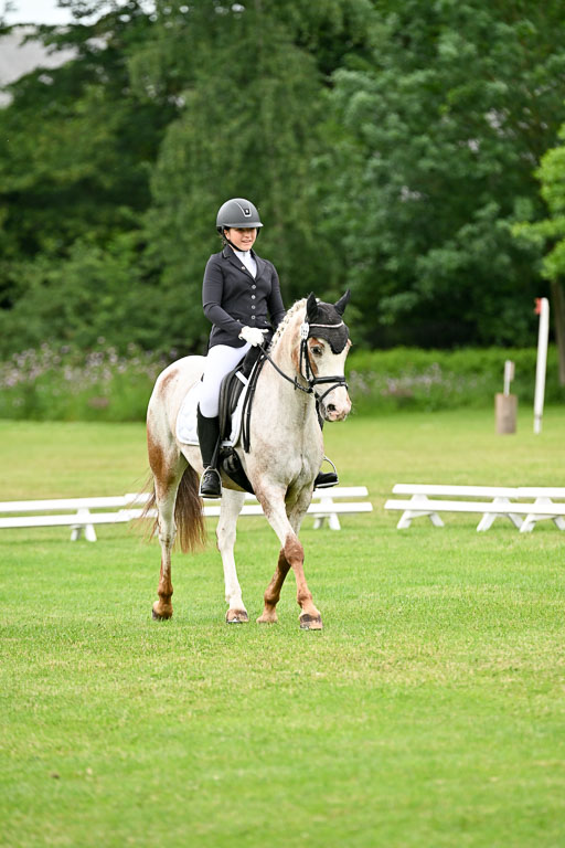  | 30052025 Dressur  (1295) 