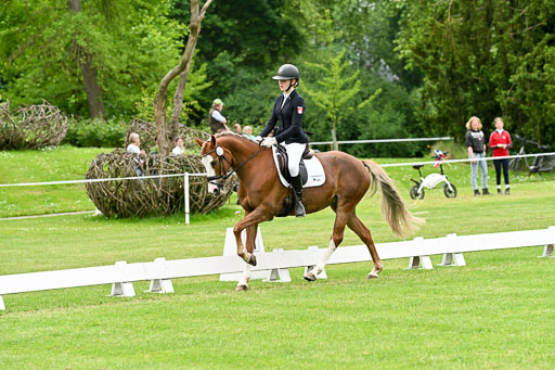  | 30052025 Dressur  (1313) 