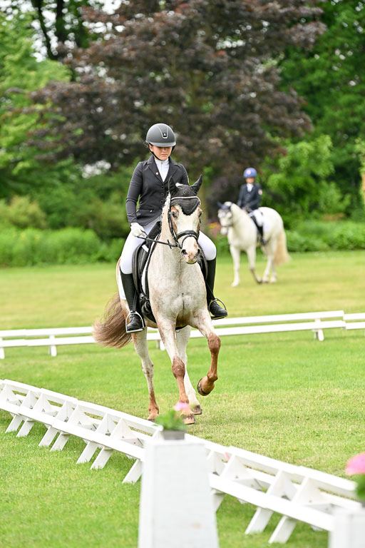  | 30052025 Dressur  (1316) 