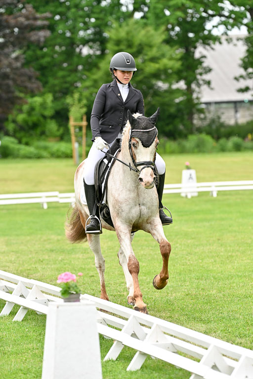  | 30052025 Dressur  (1317) 