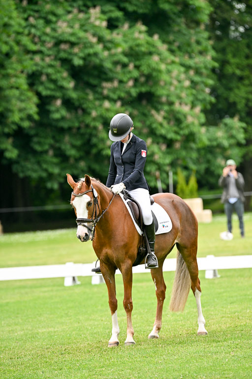  | 30052025 Dressur  (1319) 