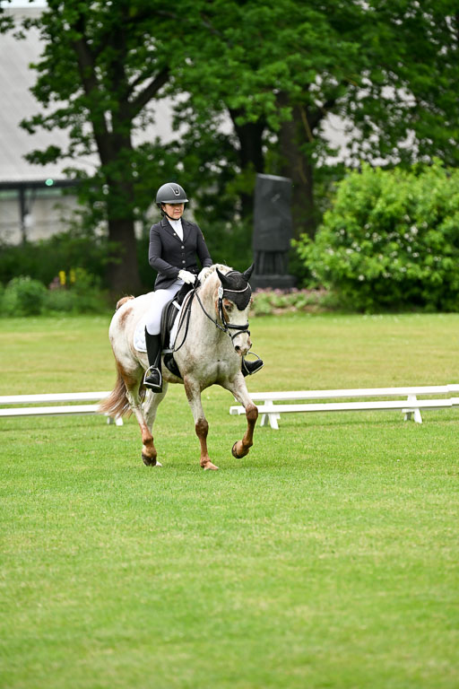  | 30052025 Dressur  (1320) 