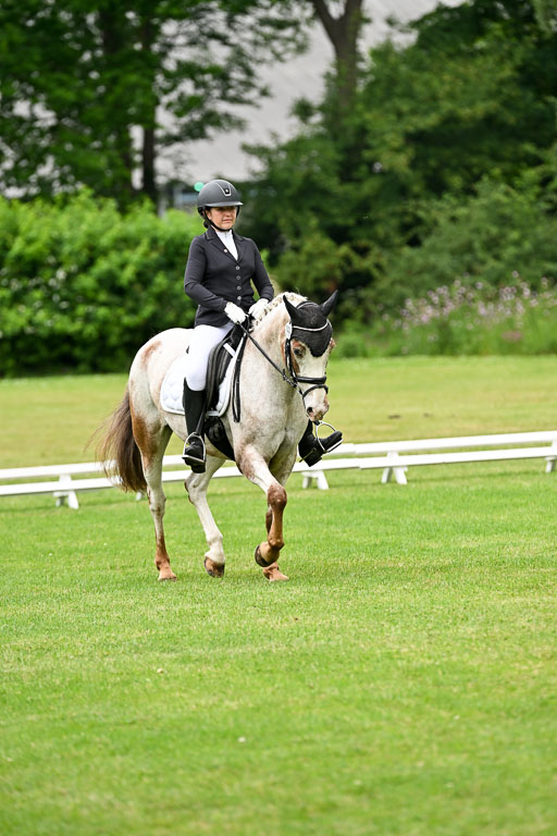  | 30052025 Dressur  (1321) 