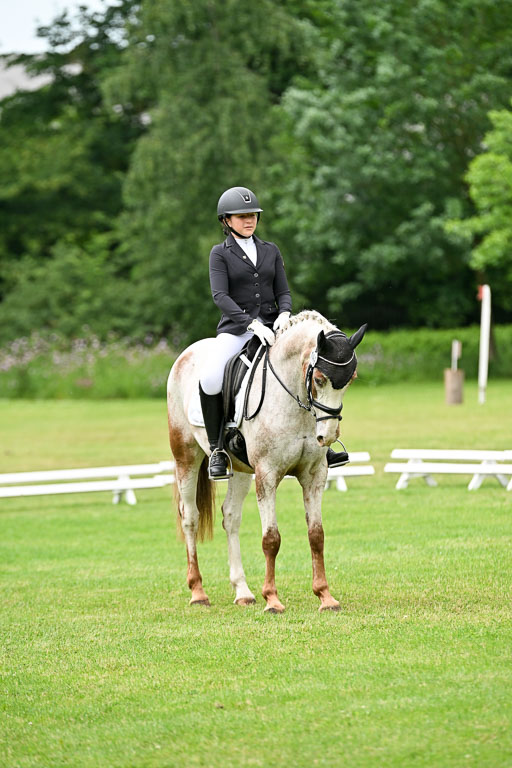  | 30052025 Dressur  (1322) 