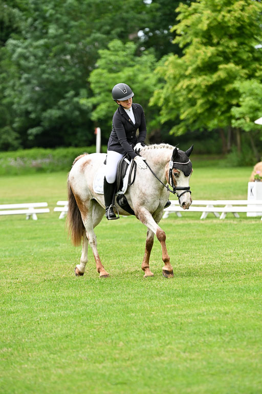  | 30052025 Dressur  (1323) 