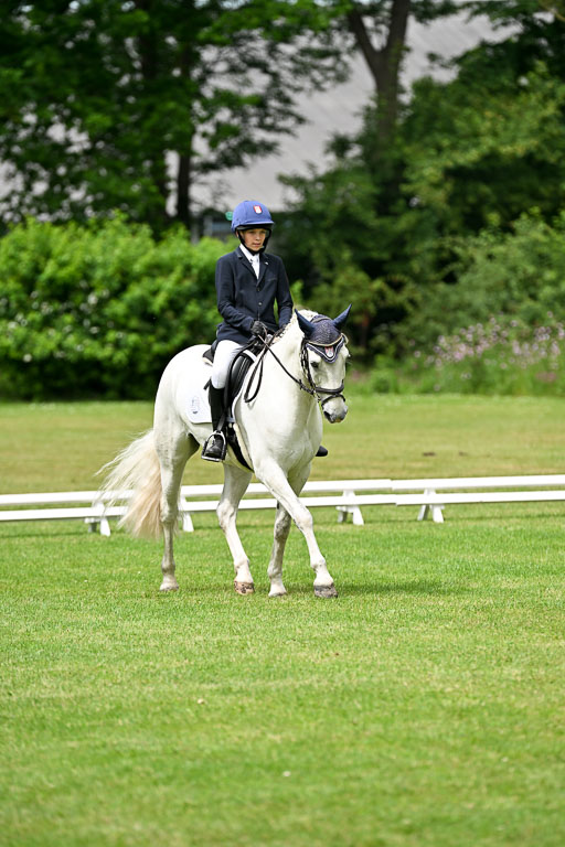  | 30052025 Dressur  (1333) 