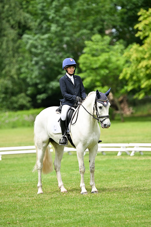  | 30052025 Dressur  (1335) 