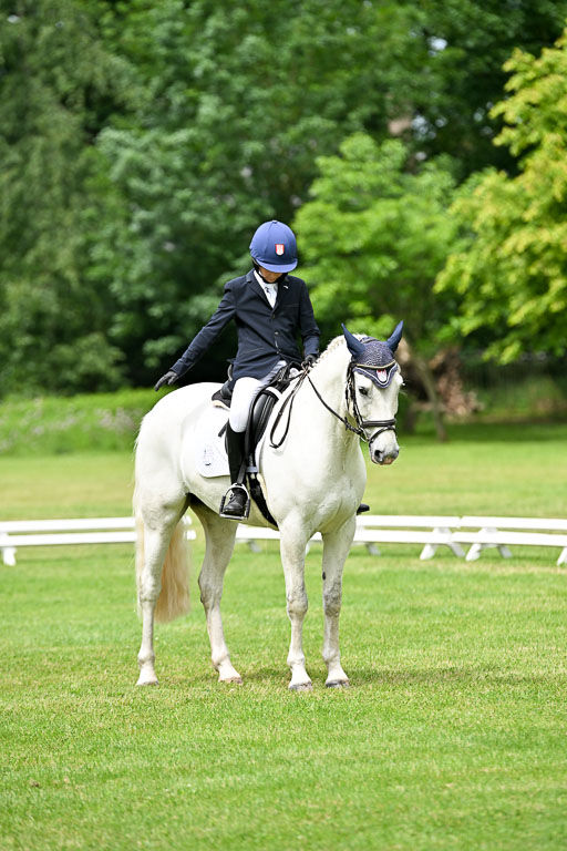  | 30052025 Dressur  (1336) 