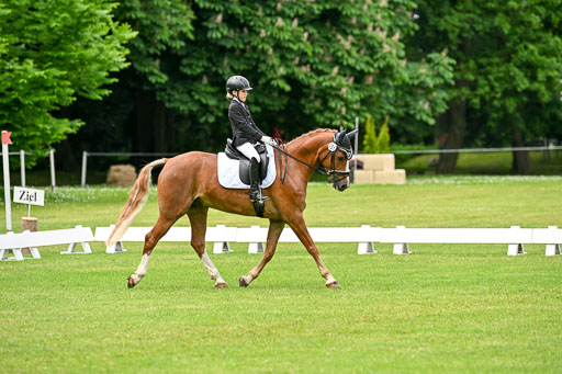  | 30052025 Dressur  (1338) 