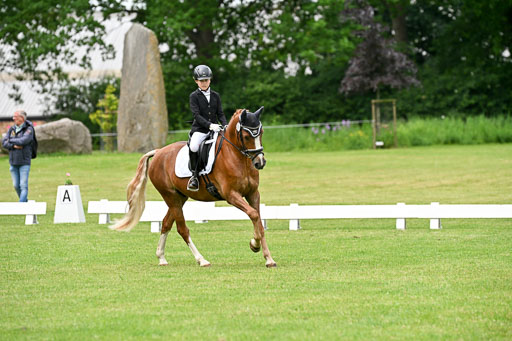  | 30052025 Dressur  (1339) 