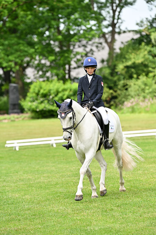  | 30052025 Dressur  (1342) 