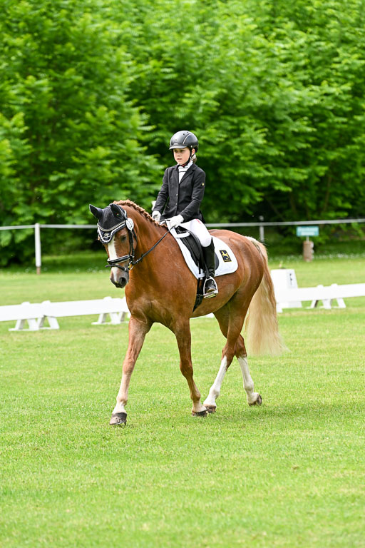  | 30052025 Dressur  (1345) 