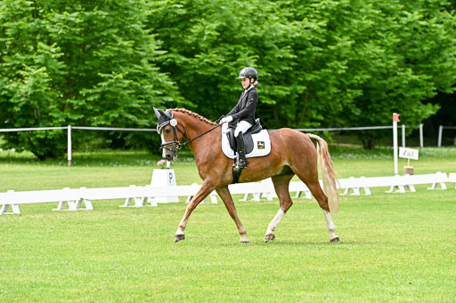  | 30052025 Dressur  (1349) 