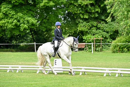  | 30052025 Dressur  (1352) 