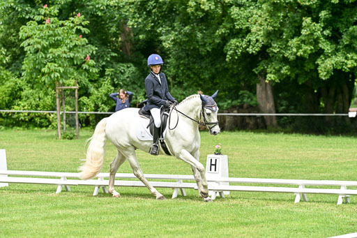  | 30052025 Dressur  (1355) 