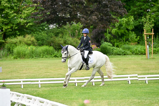  | 30052025 Dressur  (1360) 