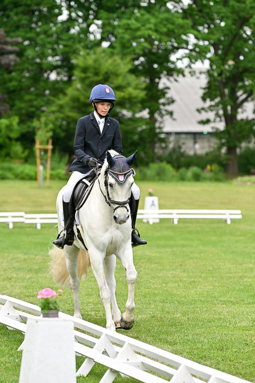  | 30052025 Dressur  (1361) 