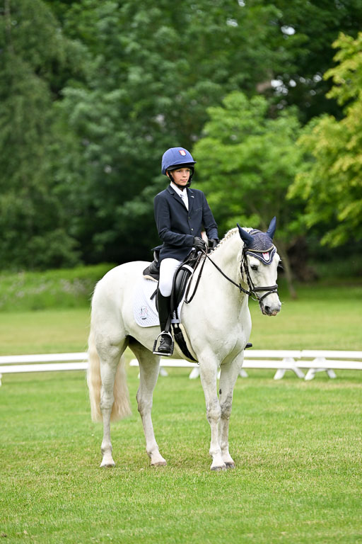  | 30052025 Dressur  (1363) 