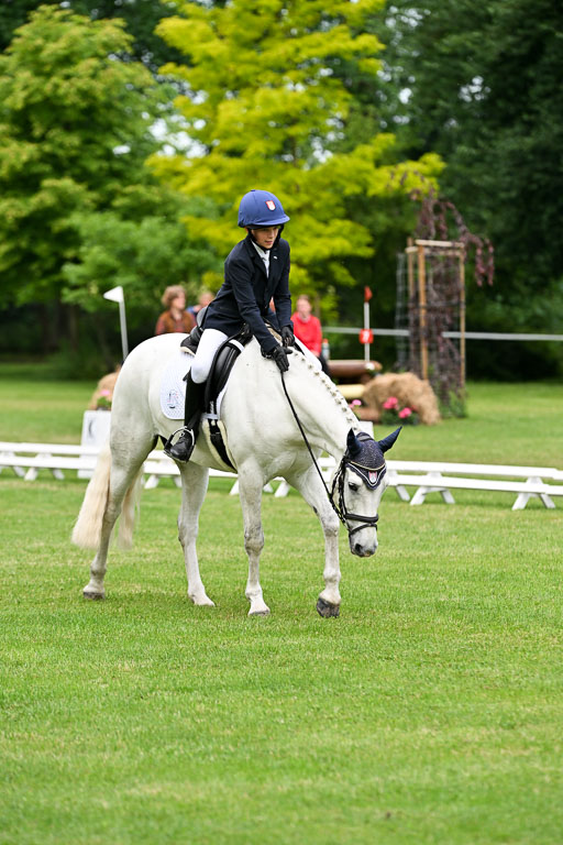  | 30052025 Dressur  (1364) 