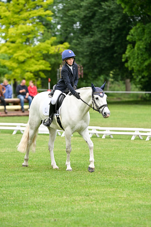  | 30052025 Dressur  (1365) 