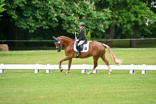  | 30052025 Dressur  (1367) 