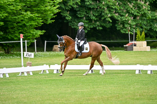  | 30052025 Dressur  (1368) 