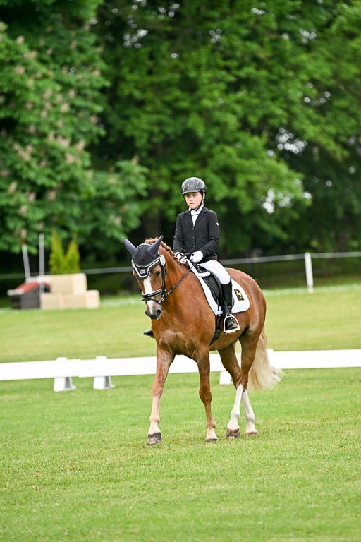  | 30052025 Dressur  (1373) 