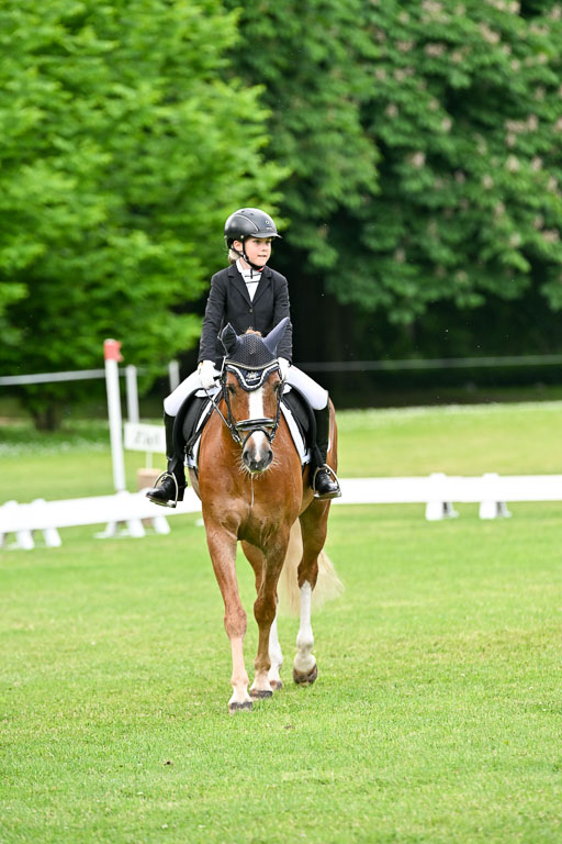  | 30052025 Dressur  (1375) 