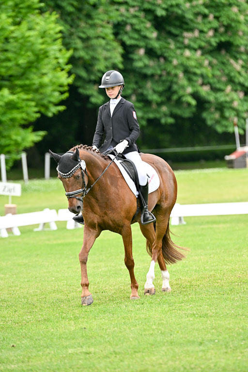  | 30052025 Dressur  (1376) 