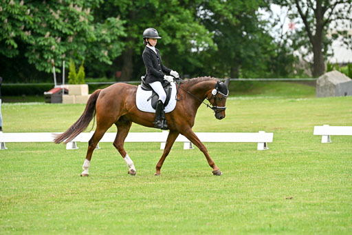  | 30052025 Dressur  (1382) 