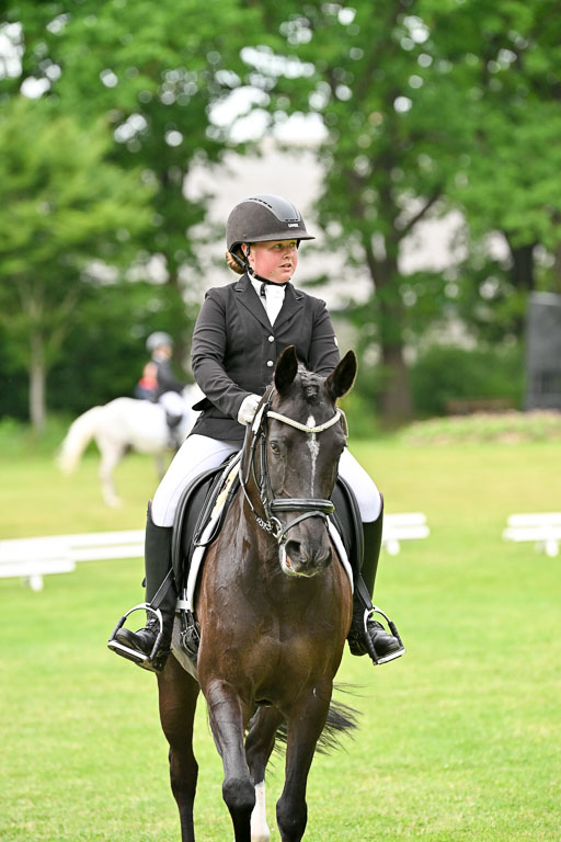  | 30052025 Dressur  (1383) 