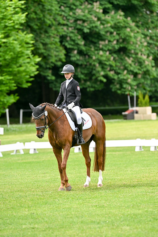  | 30052025 Dressur  (1384) 