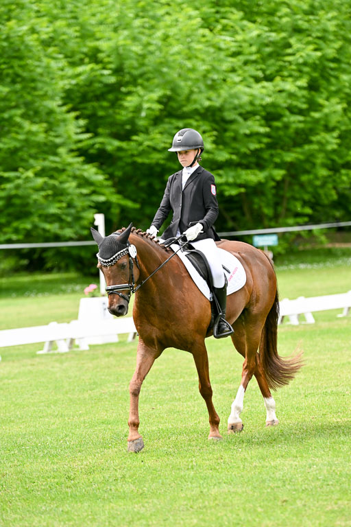  | 30052025 Dressur  (1385) 