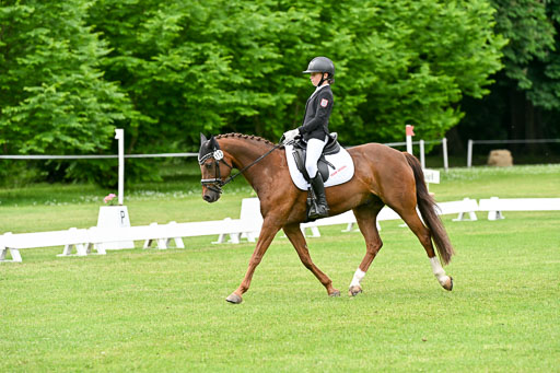  | 30052025 Dressur  (1388) 