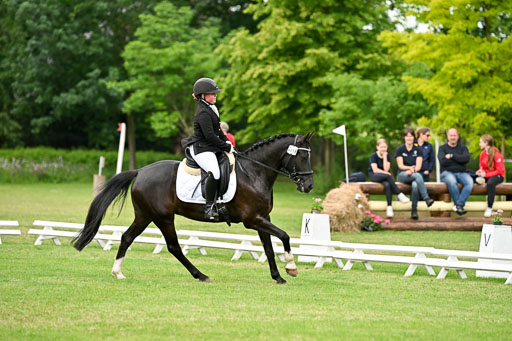  | 30052025 Dressur  (1391) 