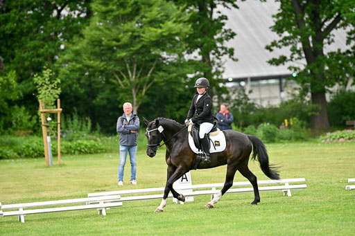  | 30052025 Dressur  (1395) 