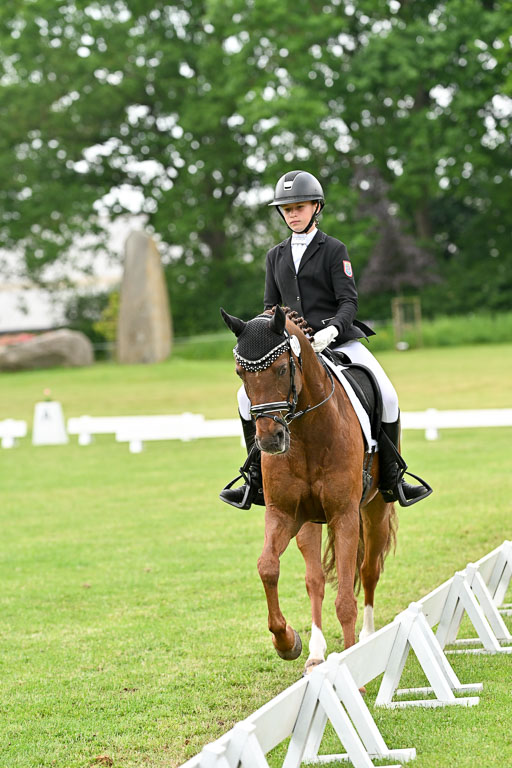  | 30052025 Dressur  (1397) 